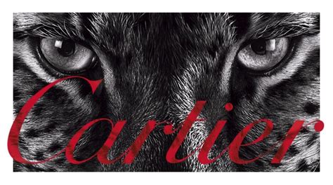 cartier carrer